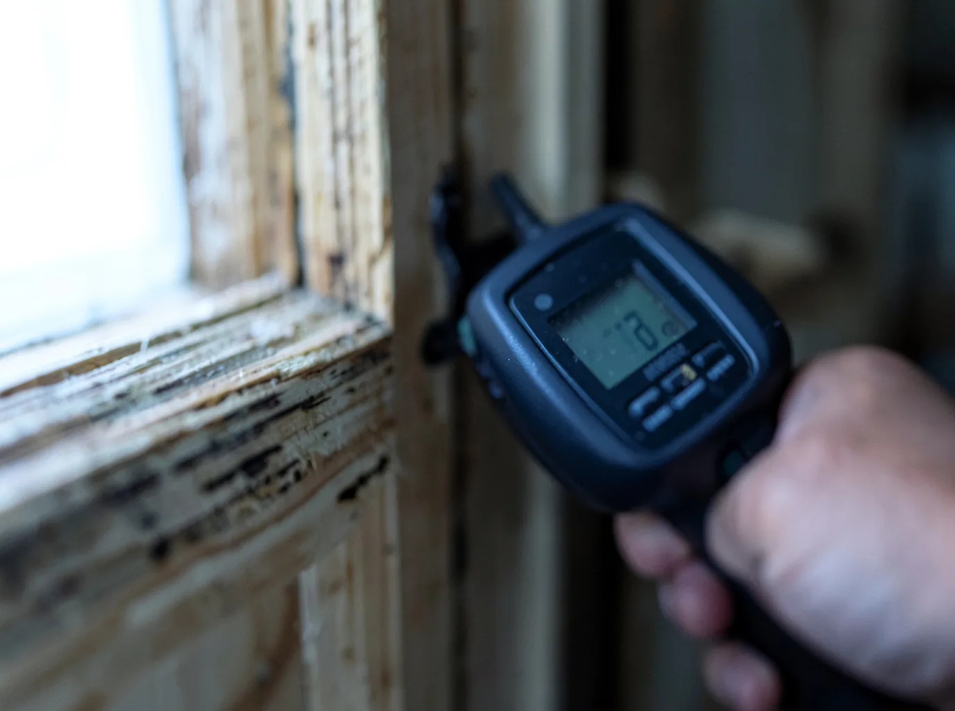 Moisture Inspection And Documentation in Weaubleau, MO